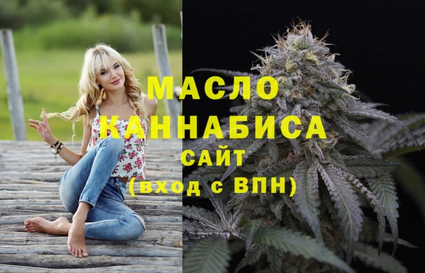 индика Гусиноозёрск