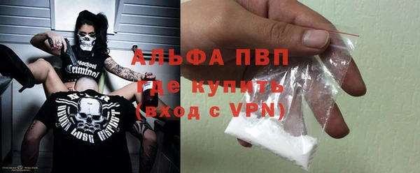 индика Гусиноозёрск