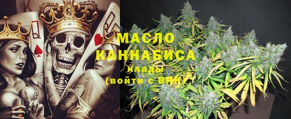 индика Гусиноозёрск