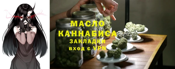 мяу мяу мука Гусь-Хрустальный