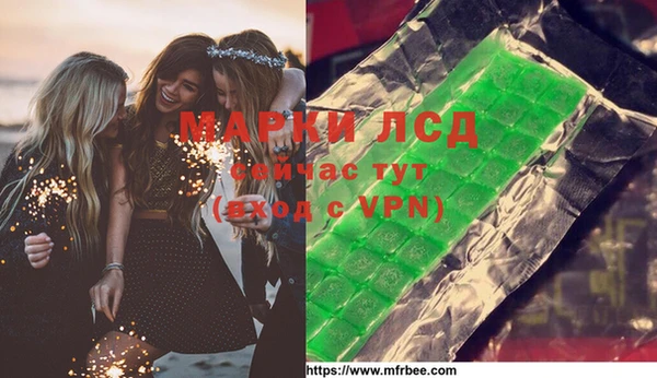 индика Гусиноозёрск