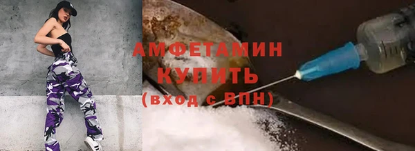 мяу мяу мука Гусь-Хрустальный