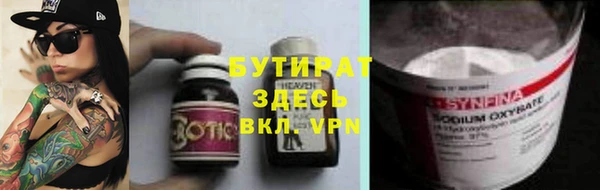 индика Гусиноозёрск