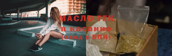 индика Гусиноозёрск