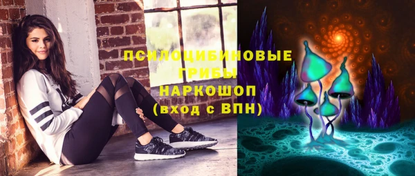 индика Гусиноозёрск