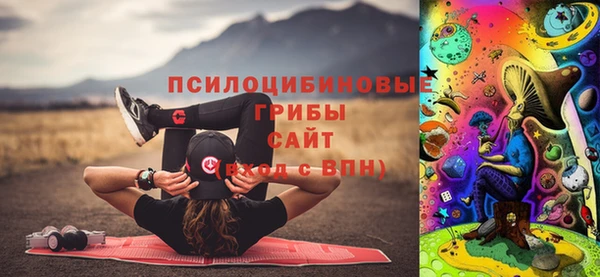 мяу мяу мука Гусь-Хрустальный