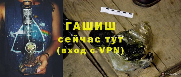 мяу мяу мука Гусь-Хрустальный