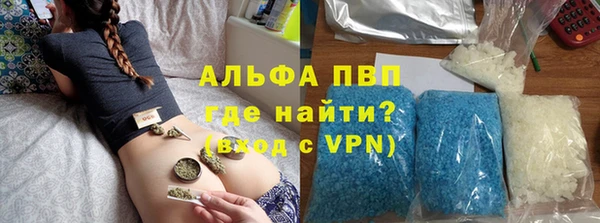 индика Гусиноозёрск