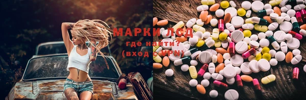 мяу мяу мука Гусь-Хрустальный
