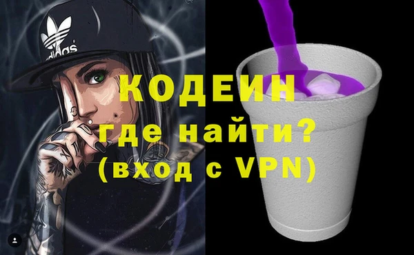 индика Гусиноозёрск
