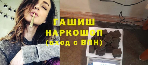 индика Гусиноозёрск