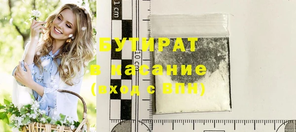 индика Гусиноозёрск
