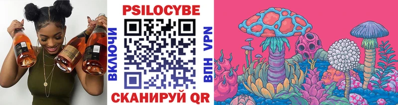 Псилоцибиновые грибы Psilocybine cubensis Купить закладки Михайловск